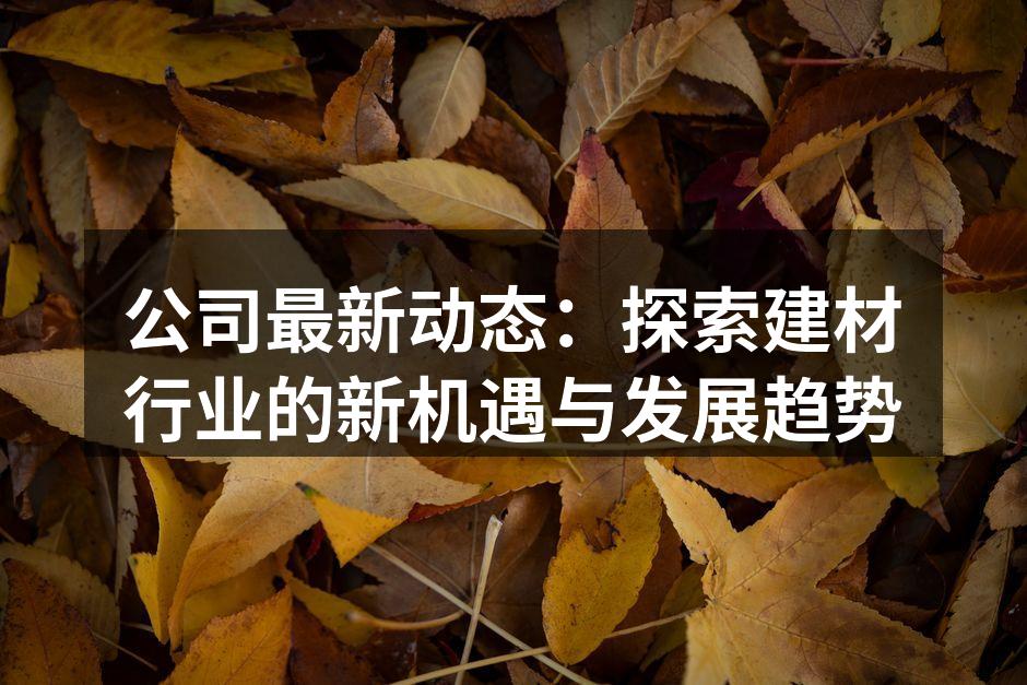 公司最新动态：探索建材行业的新机遇与发展趋势